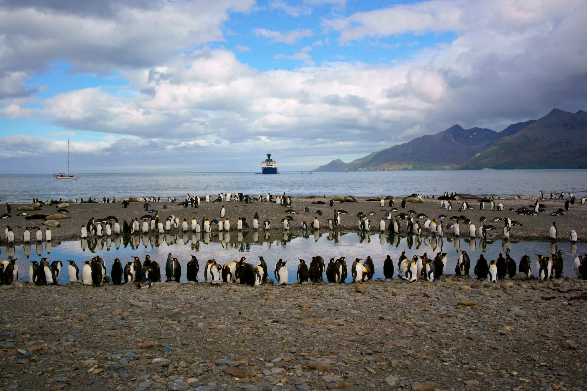 st andrews bay, south georgia.webp